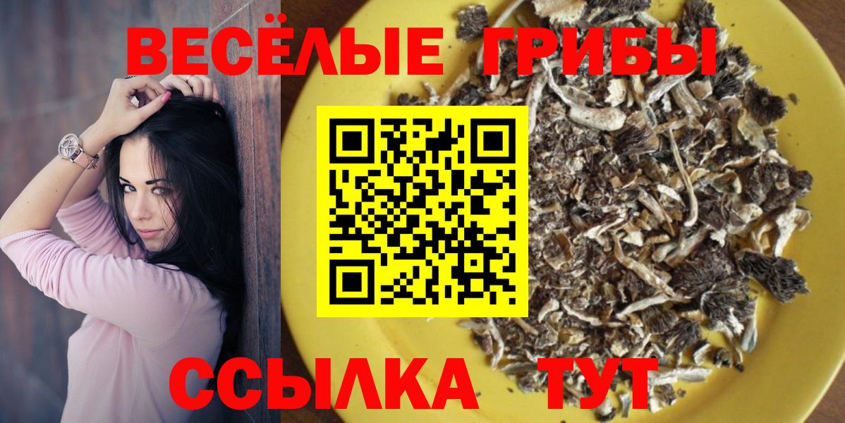 Псилоцибиновые грибы Psilocybe  Галлюциногенные грибы Psilocybe  Вход с VPN  Пенза 